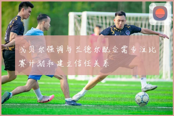 戈贝尔强调与兰德尔配合需专注比赛计划和建立信任关系