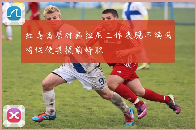 红鸟高层对弗拉尼工作表现不满或将促使其提前辞职