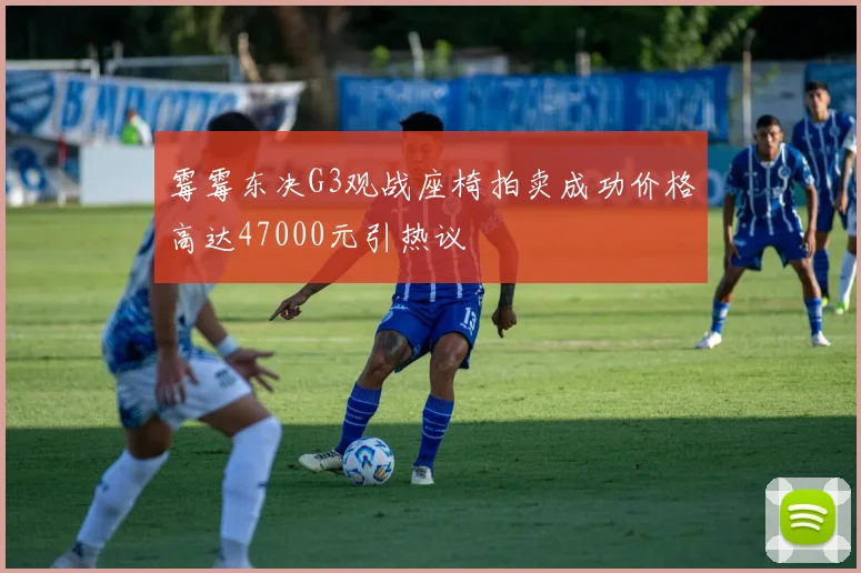 霉霉东决G3观战座椅拍卖成功价格高达47000元引热议